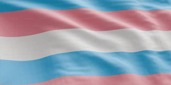 Immagine decorativa per il contenuto La disciplina della rettificazione di attribuzione del sesso anagrafico in Europa