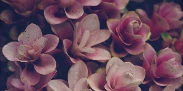 Immagine decorativa per il contenuto I comitati etici per la sperimentazione e la pratica clinica